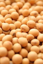 soy image